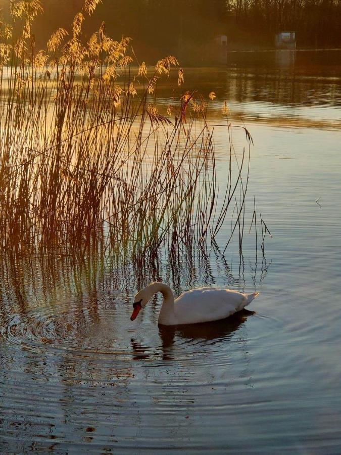Ferienwohnung Tramonto Al Lago Gavirate Exterior foto