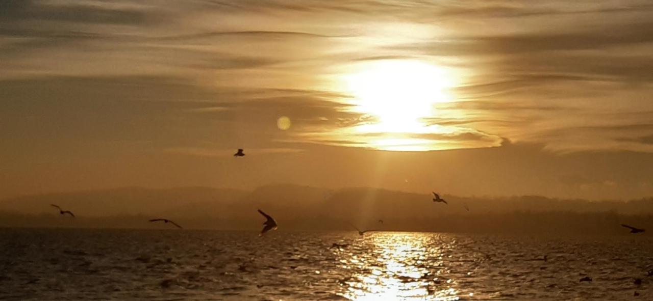 Ferienwohnung Tramonto Al Lago Gavirate Exterior foto